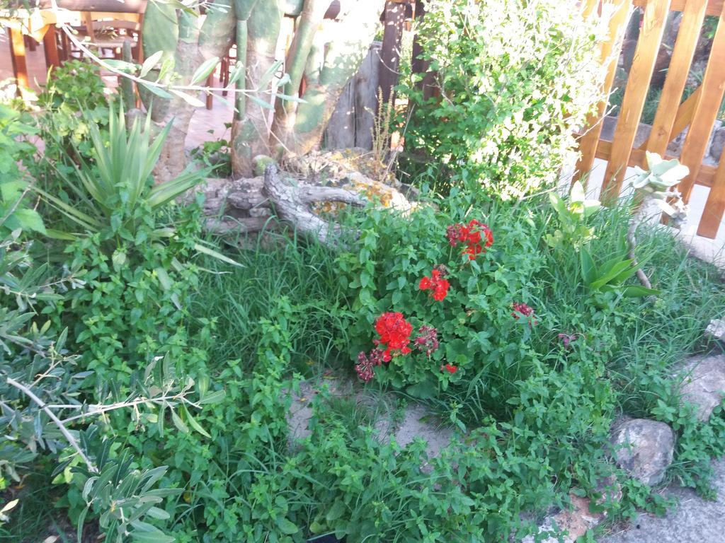 S'Arriali Ranch Guest House Iglesias Exterior photo